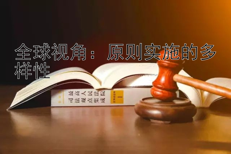 全球视角：原则实施的多样性