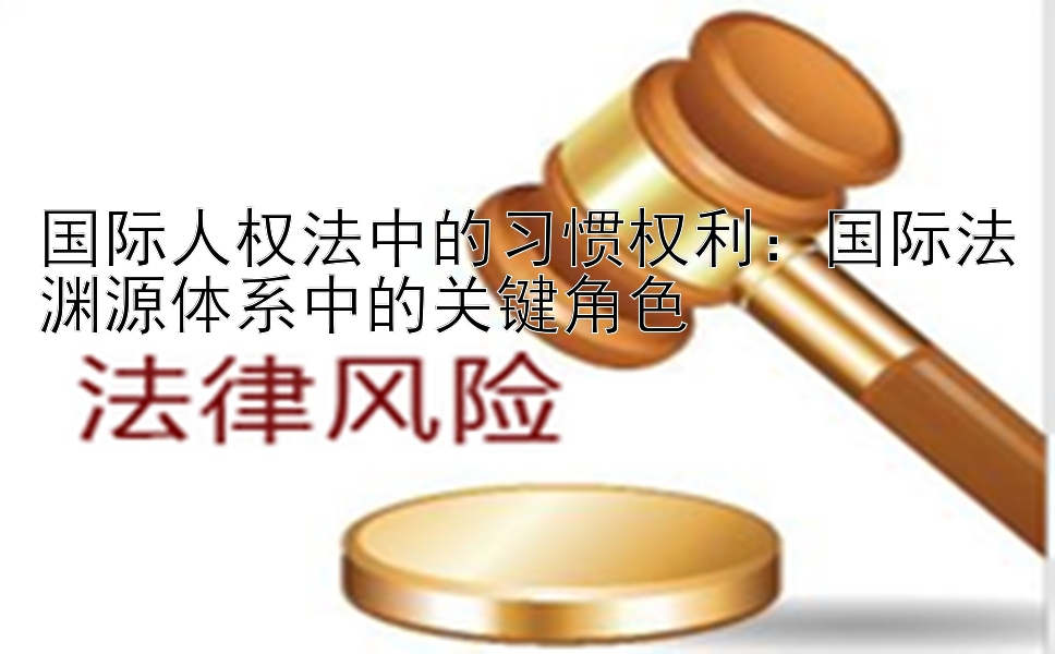 国际人权法中的习惯权利：国际法渊源体系中的关键角色