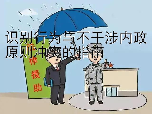 识别行为与不干涉内政原则冲突的指南