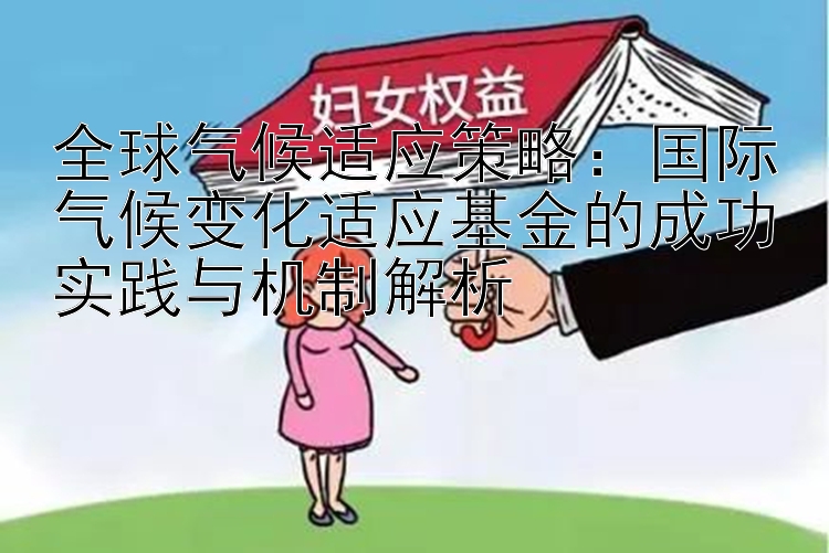 全球气候适应策略：国际气候变化适应基金的成功实践与机制解析