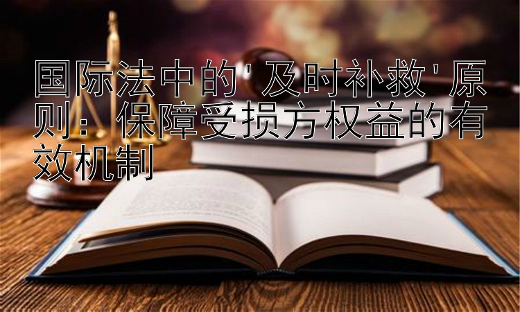 国际法中的'及时补救'原则：保障受损方权益的有效机制