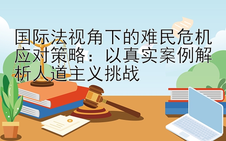 国际法视角下的难民危机应对策略：以真实案例解析人道主义挑战