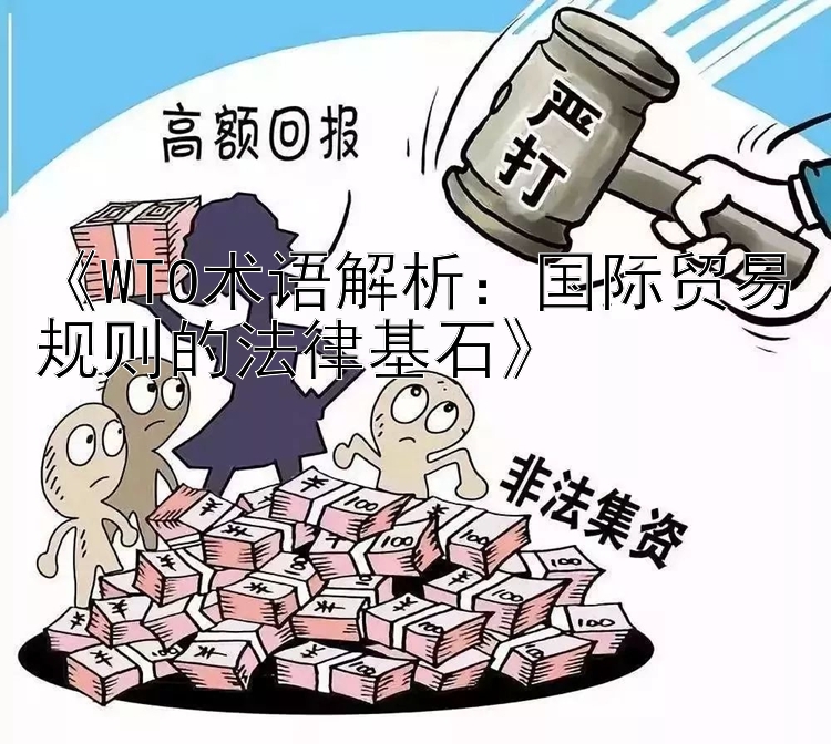 《WTO术语解析：国际贸易规则的法律基石》