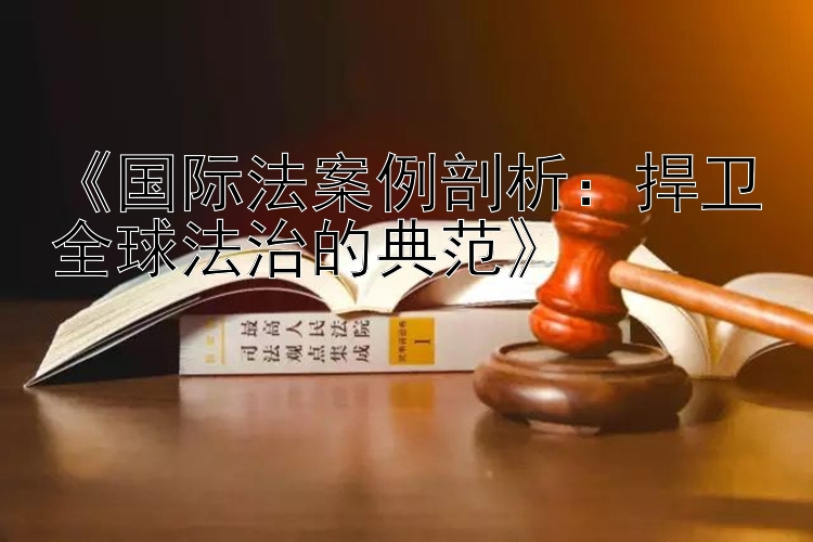 《国际法案例剖析：捍卫全球法治的典范》