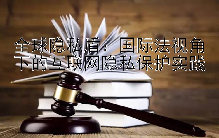 全球隐私盾：国际法视角下的互联网隐私保护实践