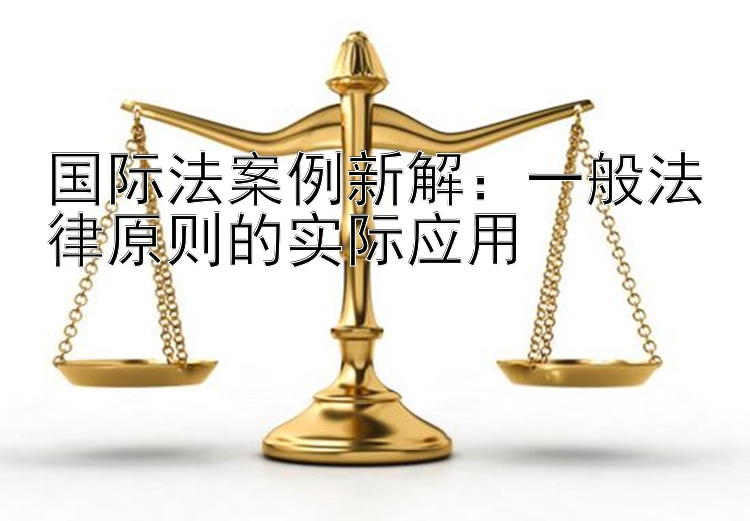 国际法案例新解：一般法律原则的实际应用