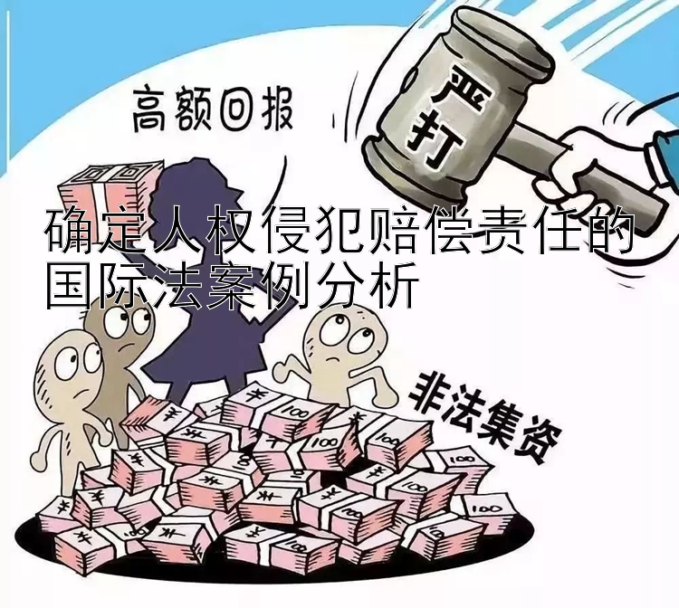 确定人权侵犯赔偿责任的国际法案例分析