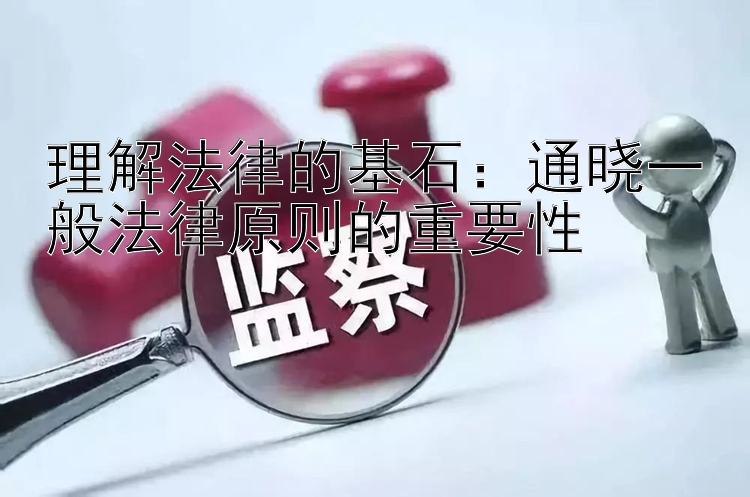 理解法律的基石：通晓一般法律原则的重要性