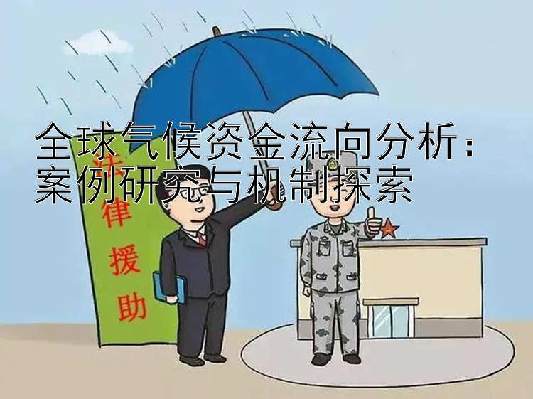 全球气候资金流向分析：案例研究与机制探索