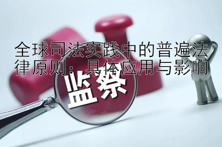 全球司法实践中的普遍法律原则：具体应用与影响