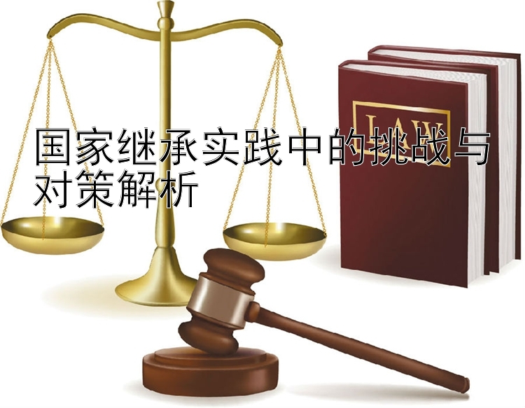 国家继承实践中的挑战与对策解析