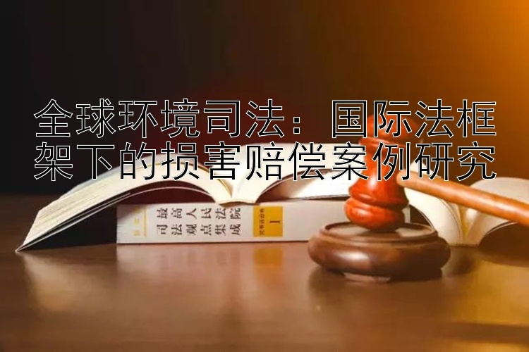 全球环境司法：国际法框架下的损害赔偿案例研究