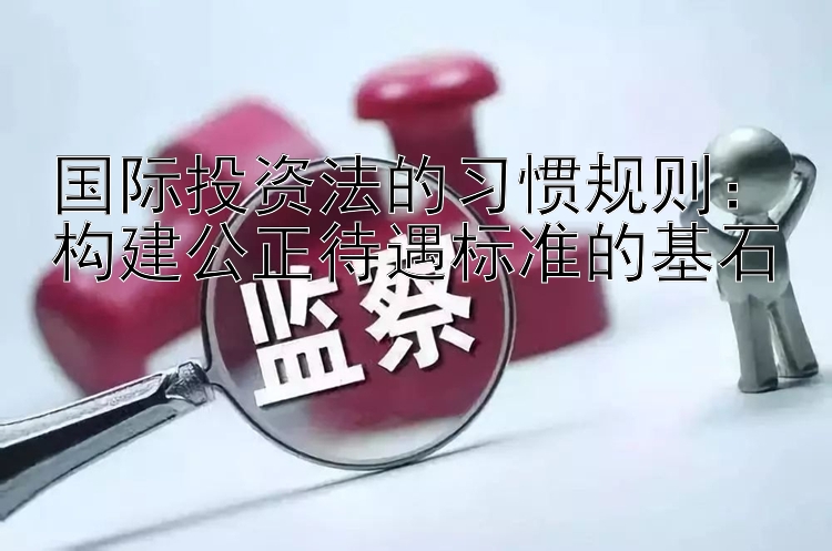 国际投资法的习惯规则：构建公正待遇标准的基石