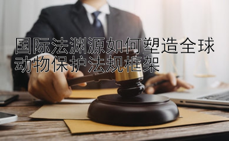 国际法渊源如何塑造全球动物保护法规框架