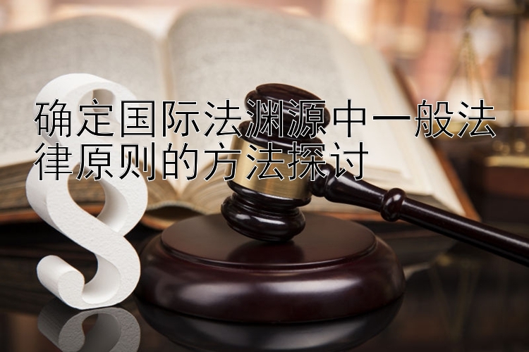 确定国际法渊源中一般法律原则的方法探讨