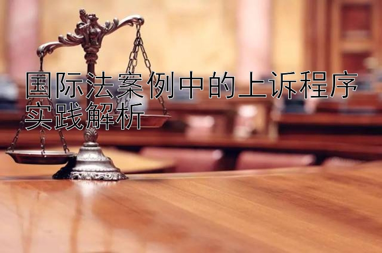 国际法案例中的上诉程序实践解析