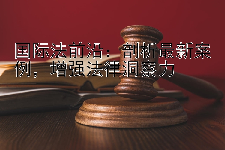 国际法前沿：剖析最新案例，增强法律洞察力