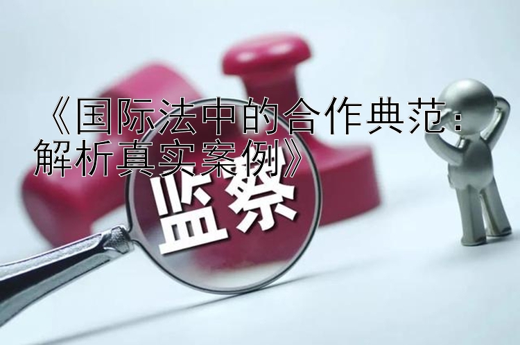 《国际法中的合作典范：解析真实案例》