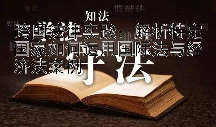 跨国法律实践：解析特定国家如何运用国际法与经济法案例