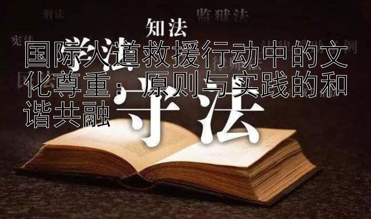 国际人道救援行动中的文化尊重：原则与实践的和谐共融