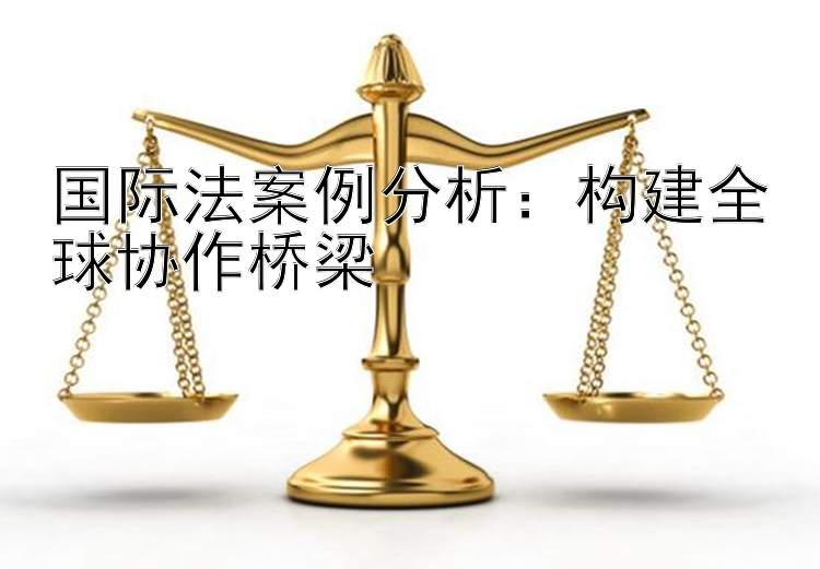 国际法案例分析：构建全球协作桥梁