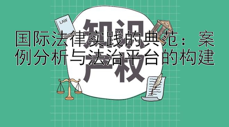 国际法律实践的典范：案例分析与法治平台的构建