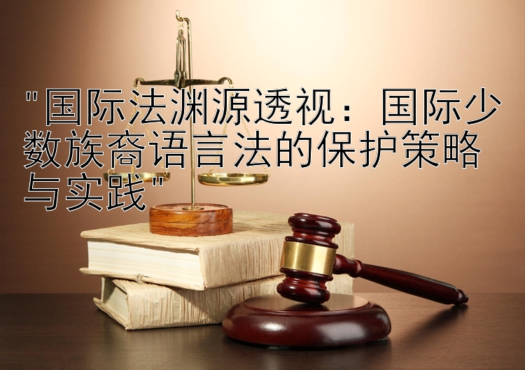 国际法渊源透视：国际少数族裔语言法的保护策略与实践