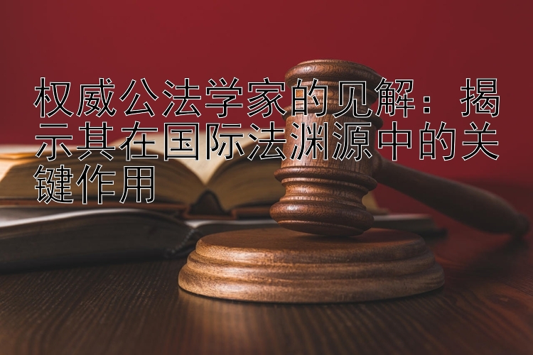 权威公法学家的见解：揭示其在国际法渊源中的关键作用