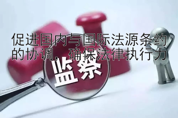 促进国内与国际法源条约的协调，确保法律执行力