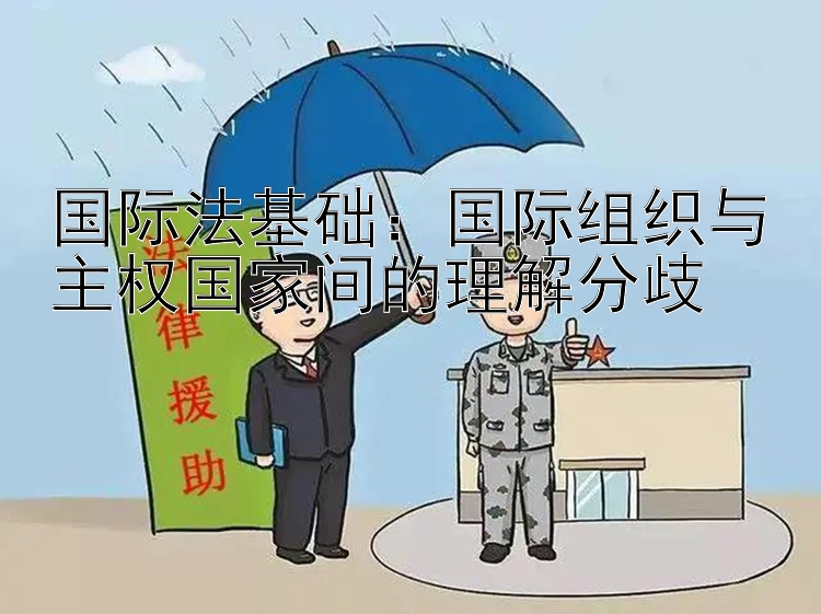 国际法基础：国际组织与主权国家间的理解分歧