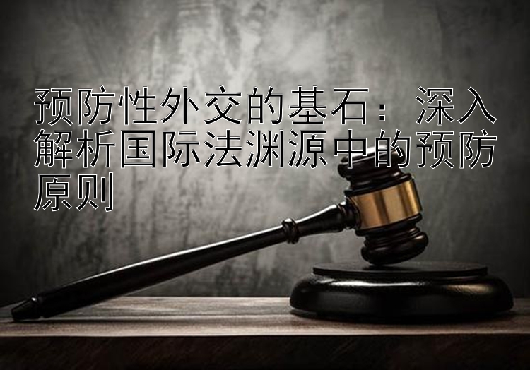 预防性外交的基石：深入解析国际法渊源中的预防原则