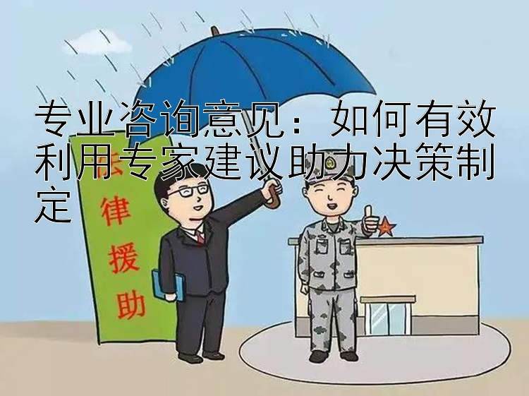 专业咨询意见：如何有效利用专家建议助力决策制定